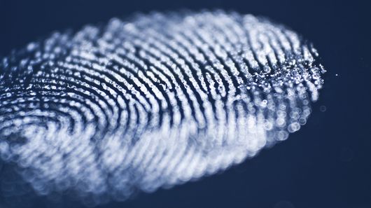 fingerprint-cocaine.jpg